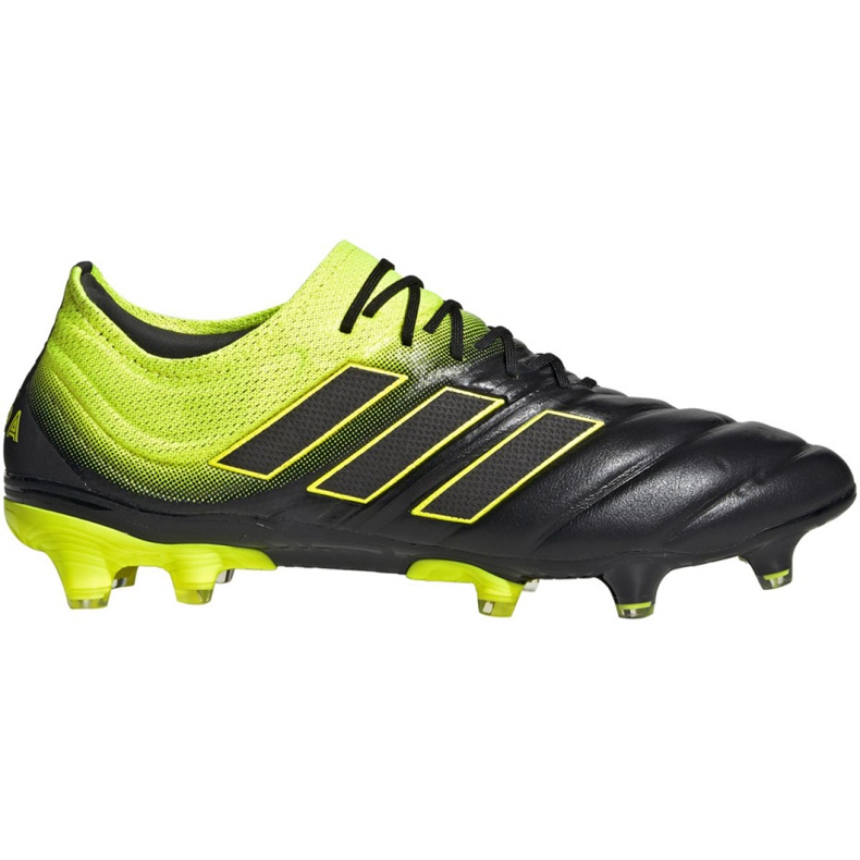 Botas de fútbol adidas Copa 19.1 Fg M BB8088 multicolor gris