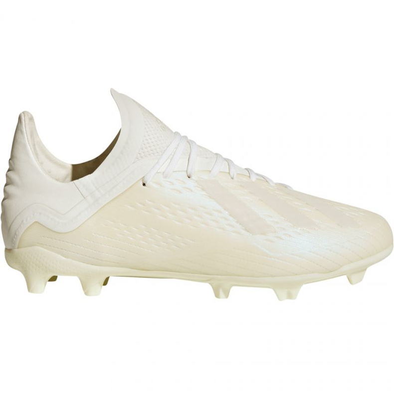 Botas de fútbol adidas X 18.1 FG Jr DB2430