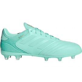 Botas de fútbol adidas Copa 18.2 FG M DB2446 azul