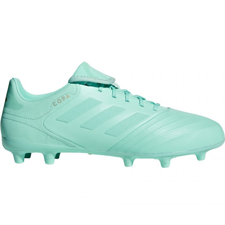 Botas de fútbol adidas Copa 18.3 Fg M DB2462 azul azul Botas de fútbol adidas Copa 18.3 Fg M DB2462 azul azul