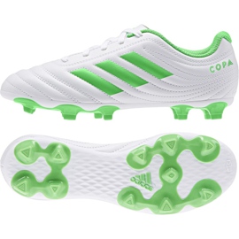 Botas de fútbol adidas Copa 19.4 Fg Jr D98089 multicolor blanco