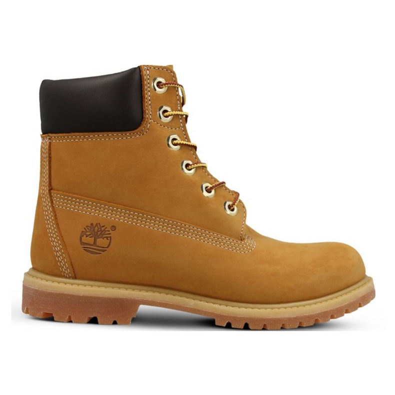 Zapatos Timberland Premium 6 Inch Jr 10361 amarillo