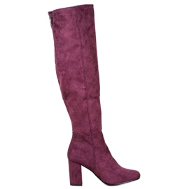 Goodin Botas de ante violeta