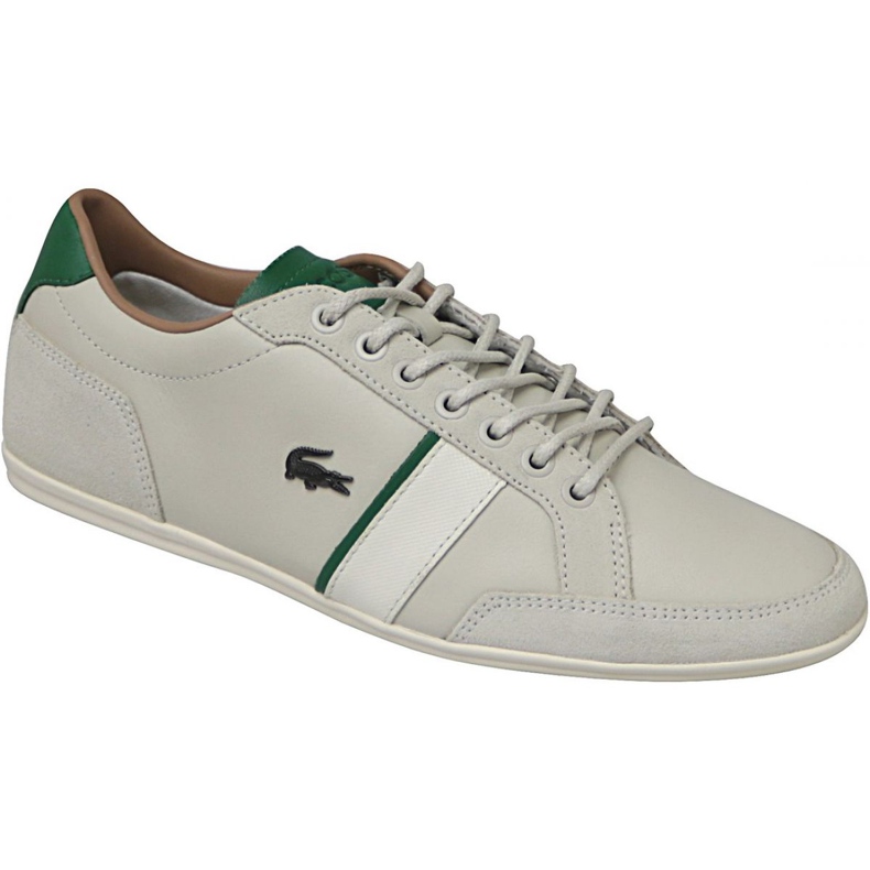 Lacoste Alisos 117 1 M CAM1018098 multicolor