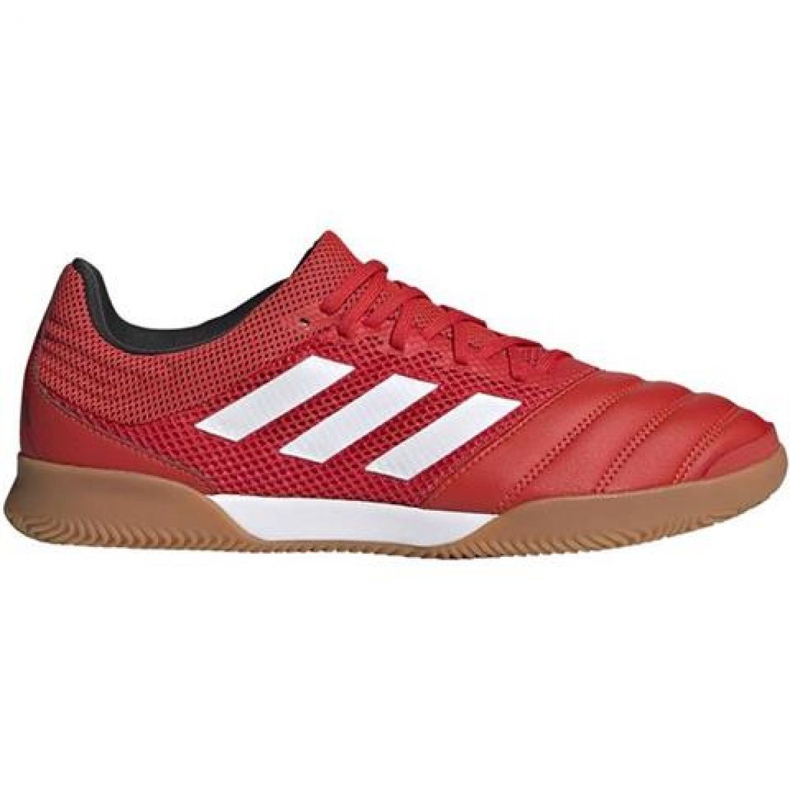 Zapatos de interior adidas Copa 20.3 In Sala M G28548 rojo rojo