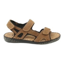 Sandalias de hombre American Club velcro CY15 / 20 marrón