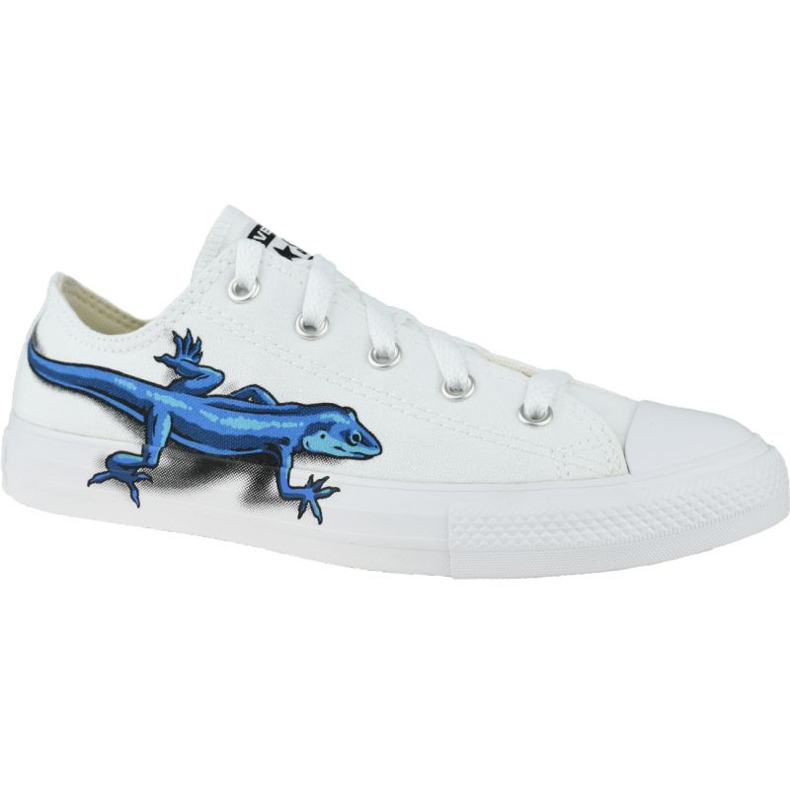 Legend Converse Lagartos Chuck Taylor All Star Low Niños 667532C blanco Legend Converse Lagartos Chuck Taylor All Star Low Niños 667532C blanco