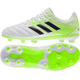 Botas de fútbol adidas Copa 20.3 Fg Jr EF1913 multicolor verde