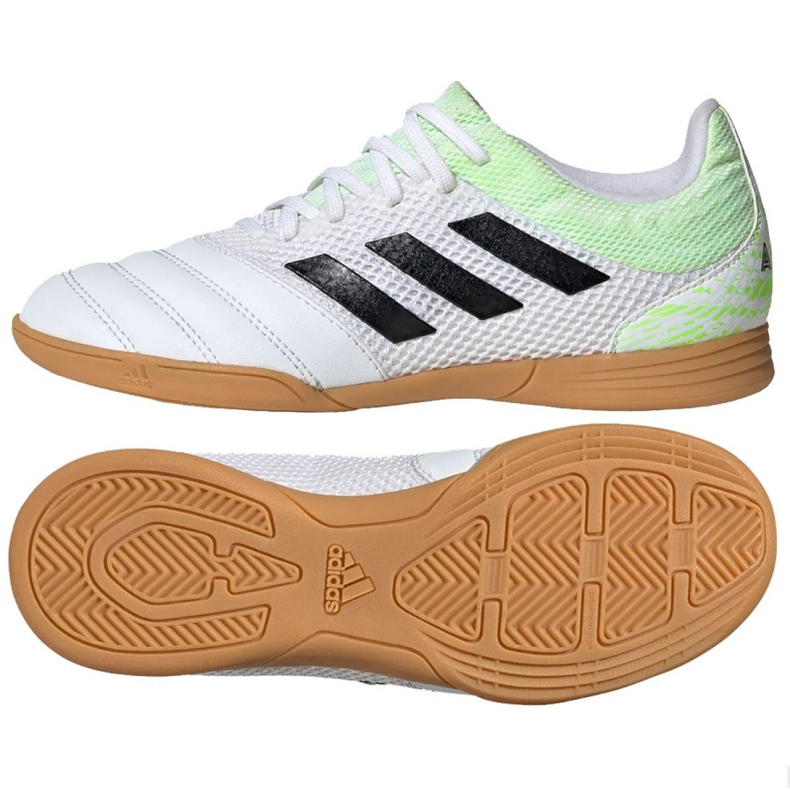 Zapatos de interior adidas Copa 20.3 In Sala Jr EF1916 multicolor blanco