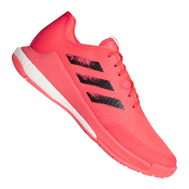 Zapatillas de voleibol Adidas Crazyflight Tokyo M FX1764 multicolor rosado