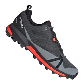 Zapatillas Adidas Terrex Skychaser Lt Gtx M FV6828 multicolor gris