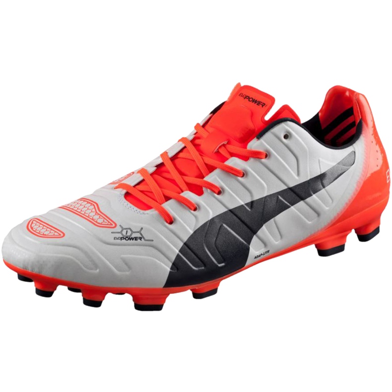 Botas de fútbol Puma Evo Power 1.2 Ag 103213 05 gris