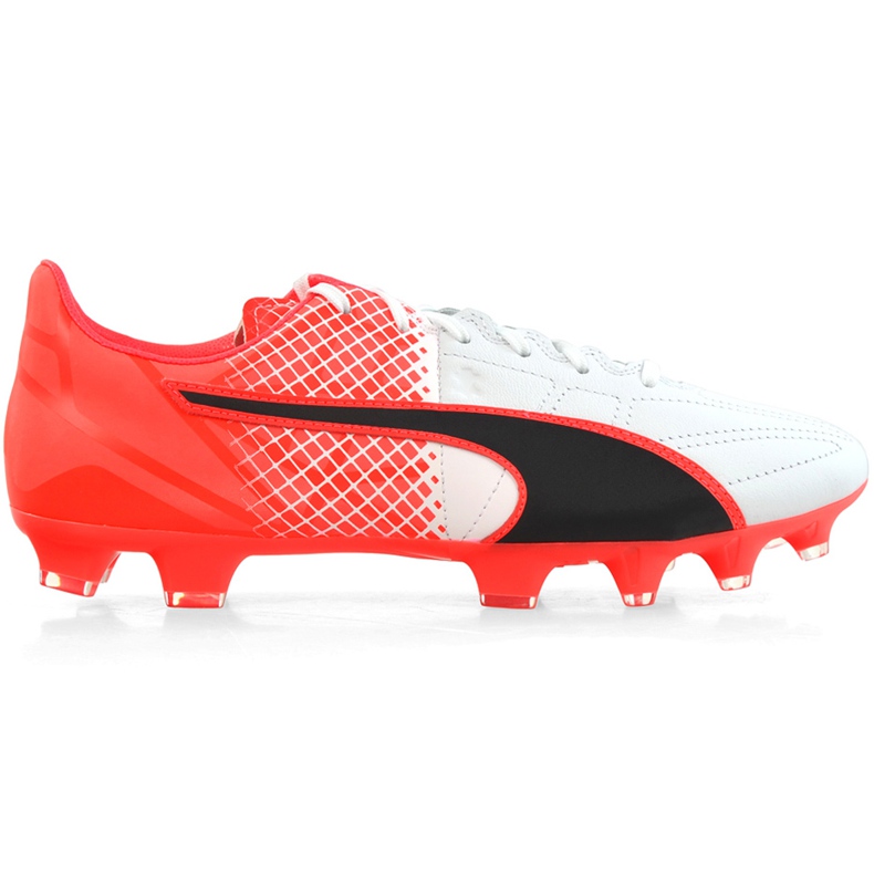 Botas de fútbol Puma Evo Speed ​​3.5 Fg Leather 103794 01 azul, blanco, negro multicolor