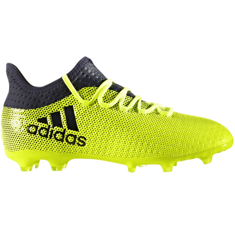 Botas de fútbol adidas X 17.1 Fg Jr S82297 multicolor verde