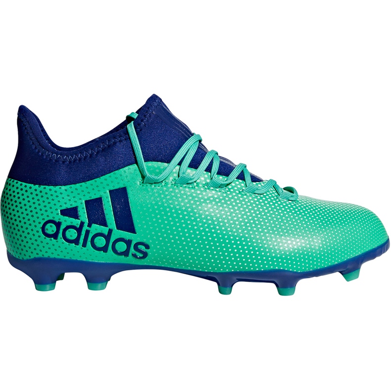 Botas de fútbol adidas X 17.1 Fg Jr CP8980 multicolor azul