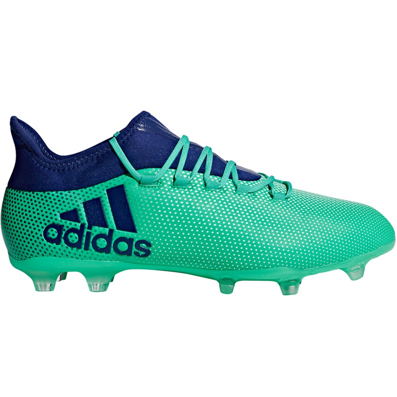 Botas de fútbol adidas X 17.2 Fg CP9189 multicolor verde
