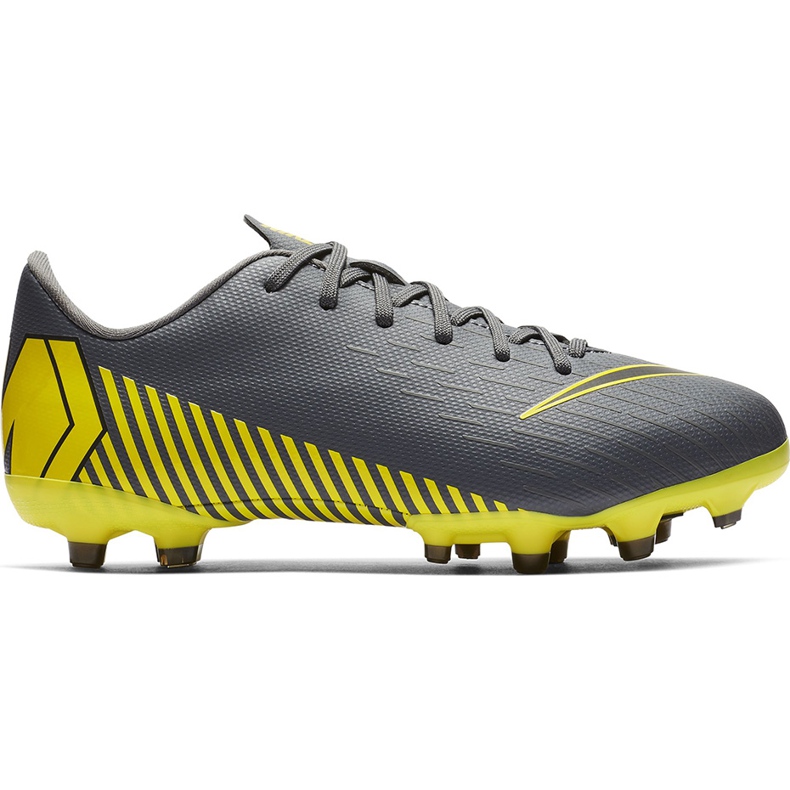 Zapatos de fútbol Nike Mercurial Vapor 12 Academy Mg Jr AH7347 070 multicolor gris