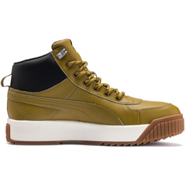 Zapatillas de hombres Puma Tarrenz Sb Puretex olive 370552 02 multicolor verde
