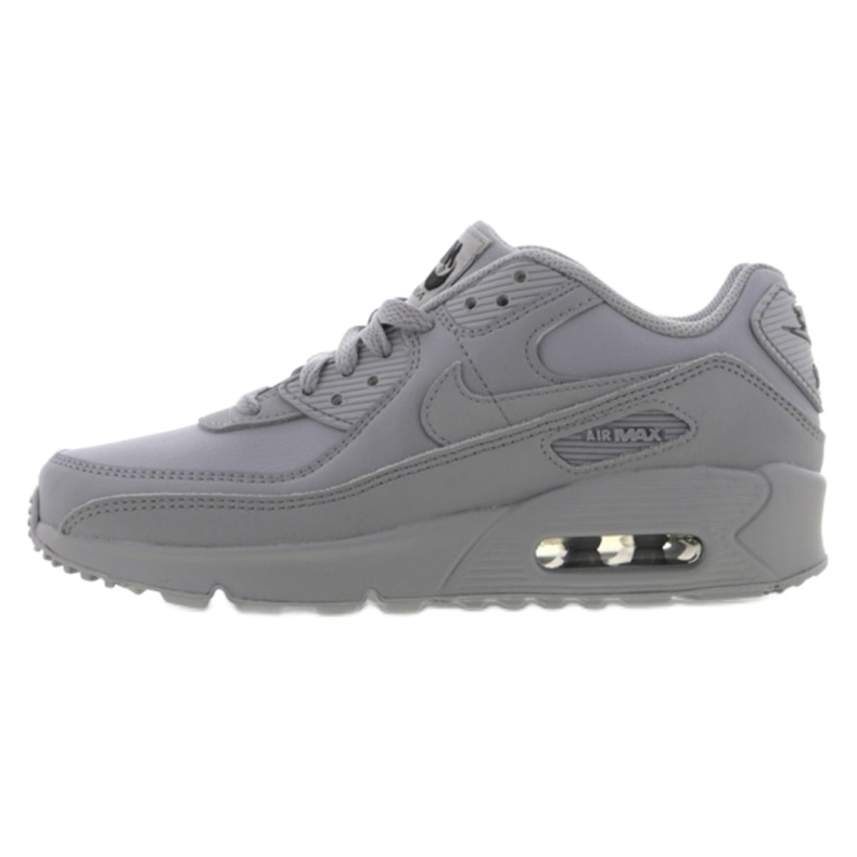 Calzado Nike Air Max 90 Ltr Jr CD6864-006 gris Calzado Nike Air Max 90 Ltr Jr CD6864-006 gris