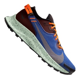 Zapatillas de running Nike Pegasus Trail 2 Gtx M CU2016-600 multicolor
