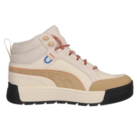 Zapatillas Puma Tarrenz Sb Iii Open Road 393929-02 beige 1