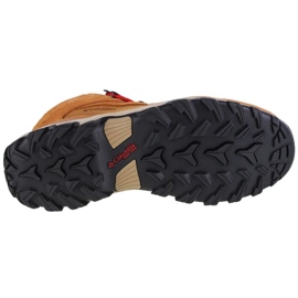 Zapatos Columbia Newton Ridge Plus Ii Suede Wp M 1746411286 marrón 2
