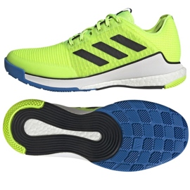 Zapatillas de voleibol Adidas CrazyFlight M HP3356 verde 1