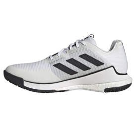 Zapatillas de voleibol Adidas CrazyFlight M HP3355 blanco 1