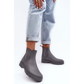 PS1 Botas de agua bajas para mujer Gris Birella 3