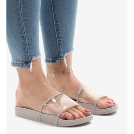 Zapatilla gris transparente 815 1