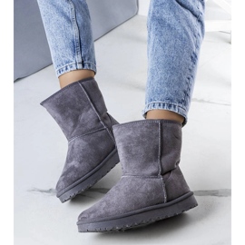 Botas de nieve con aislamiento gris Hank 1