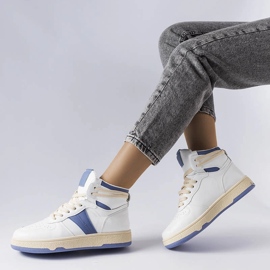 Botines azules de Robin 1