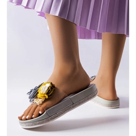 Chanclas grises con parte superior transparente de Hétu 1