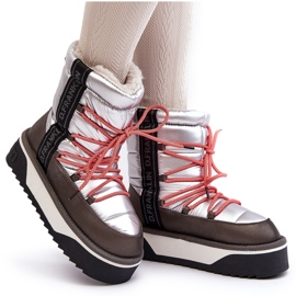 Botas de Nieve Mujer Suela Gruesa Vegana D.Franklin DFSH371006 Plata 13