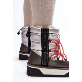 Botas de Nieve Mujer Suela Gruesa Vegana D.Franklin DFSH371006 Plata 11