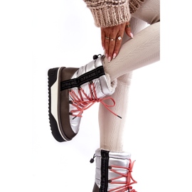 Botas de nieve para mujeres en una suela vegana gruesa D.franklin DFSH371006 Plata 2