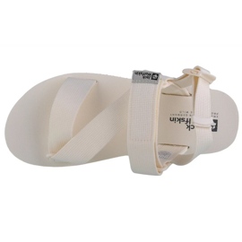 Sandalias Jack Wolfskin Urban Entdeckung Belt Sandal W 4056801-5152 beige 2