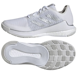 Zapatillas de voleibol Adidas Crazyflight W IG3970 blanco 1