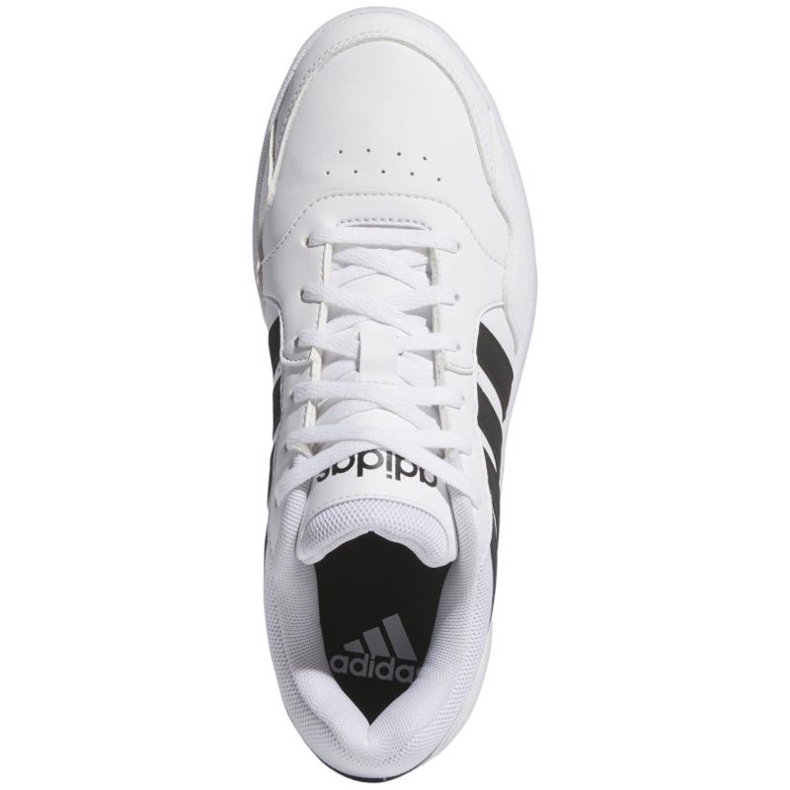 Zapatillas Adidas Hoops 3.0 Bold IG6115 blanco 1