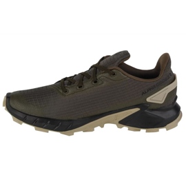 Zapatillas Salomon Alphacross 4 Gtx M 471169 verde 1