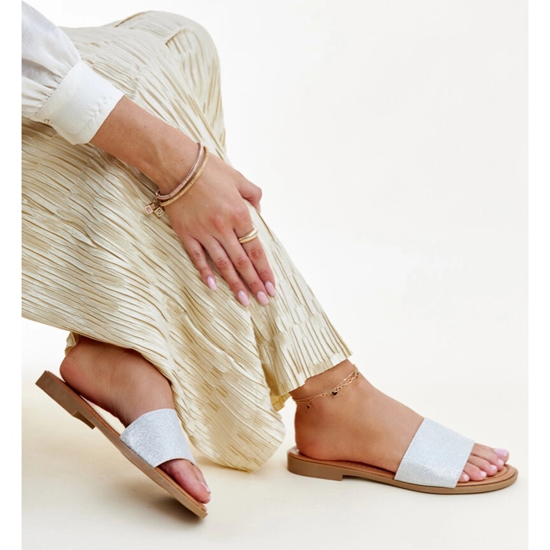 Chanclas Anilsa plata brillante 1