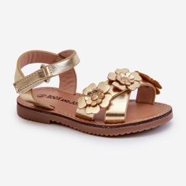 Sandalias Infantiles Decoradas con Flores, Cierre con Velcro, Dorado Fagossa 5