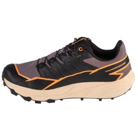 Zapatillas Salomon Thundercross Gtx 476847 gris 1
