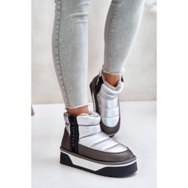 Botas de Nieve Bajas con Suela Gruesa D.Franklin DFSH371010 Plata gris 2