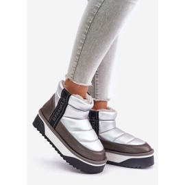 Botas de Nieve Bajas con Suela Gruesa D.Franklin DFSH371010 Plata gris 1