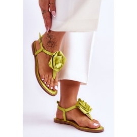 Step in style Sandalias chanclas Modelo Carisma QQ-137 Lima - Pisa con estilo verde 1