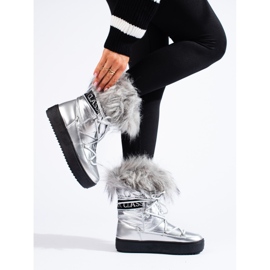 Botas de nieve de mujer plateadas con pelo. plata 1