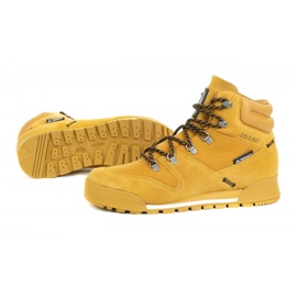 Zapatillas Adidas Terex Snowpitch C.RDY FV7960 marrón 1