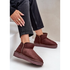 Botas de Nieve con Plataforma Mujer D.Franklin DFSH370010 Chocolate marrón 9