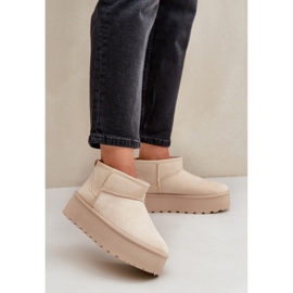 Botas de nieve para mujer aisladas con pelo TL242-8, beige 1
